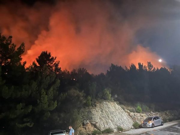 Φωτιά σε δασική έκταση στη Χίο – Δείτε φωτογραφίες και βίντεο