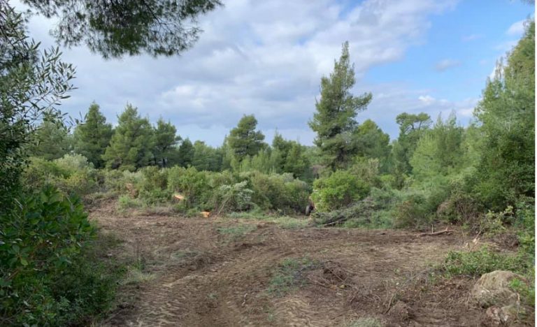 Χαλκιδική: Απαγόρευση κυκλοφορίας σε δάση και Natura – Υψηλός κίνδυνος πυρκαγιάς