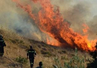 Καύσωνας: Στο «κόκκινο» ο κίνδυνος εκδήλωσης πυρκαγιών – Ποιες περιοχές βρίσκονται στην «καυτή» ζώνη