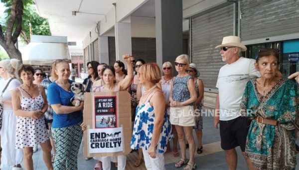 Θάνατος αλόγου στην Κέρκυρα: Διαμαρτυρία στα Χανιά – «Τέλος στις άμαξες της ντροπής»