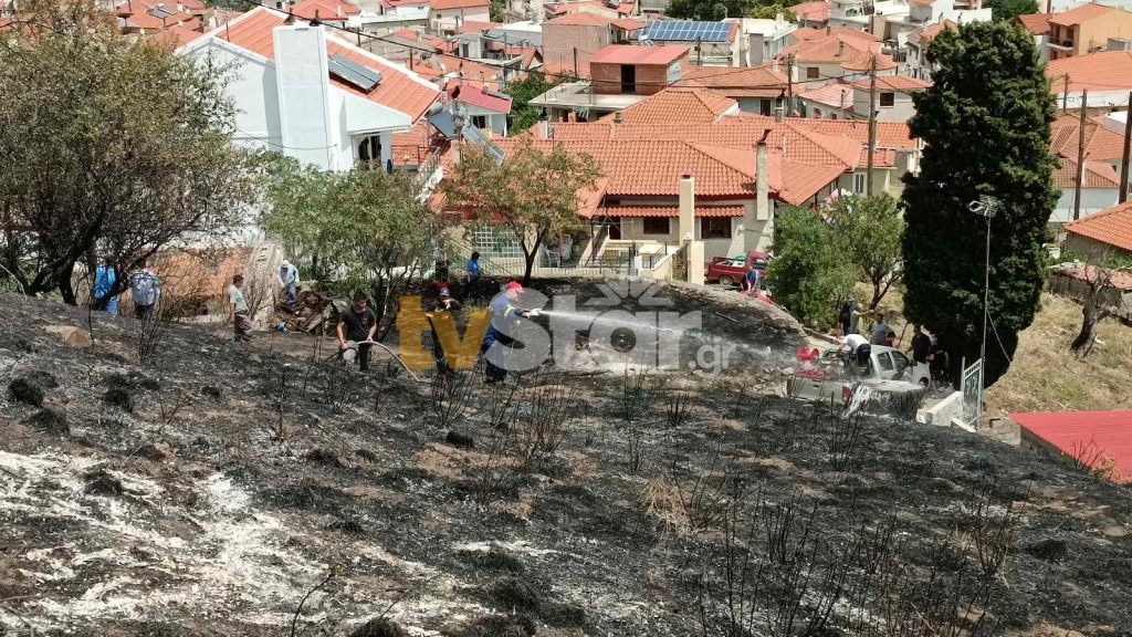 Φωτιά στη Βοιωτία – Έφτασε κοντά σε σπίτια