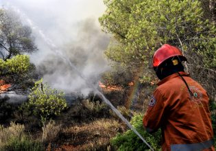 Μεγάλη φωτιά στην Εύβοια – Μεγάλη κινητοποίηση της Πυροσβεστικής