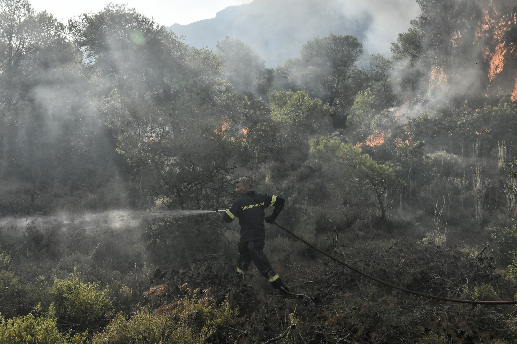 Πυρκαγιά στην Εύβοια: Καλύτερη η εικόνα της φωτιάς - Δεν απειλείται το Μοναστήρι