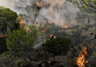 Φωτιά στην Εύβοια – Καίει κοντά σε Μοναστήρι