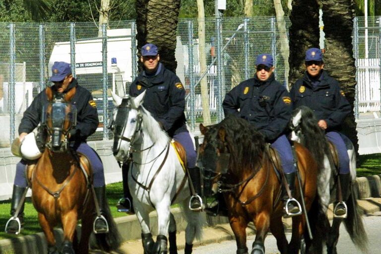 Μπλόκο» Μητσοτάκη στο σχέδιο Μηταράκη για έφιππη αστυνομία | in.gr