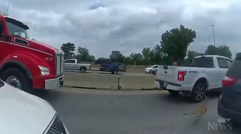 Ελαφάκι βγήκε σε αυτοκινητόδρομο – Αστυνομικοί έκλεισαν τον δρόμο για να το σώσουν