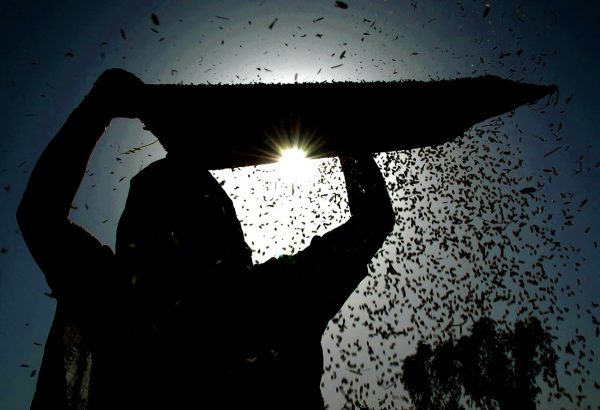 Καύσωνας: Γιατί θα πλήξει περισσότερο την υγεία και τη τσέπη των γυναικών