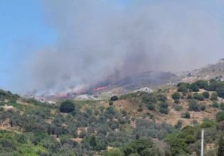 Φωτιά στη Νάξο: Οριοθετήθηκε η πυρκαγιά – Κάηκαν 2.000 στρέμματα