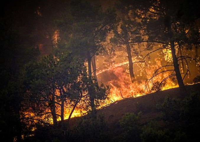 Φωτιές: Πώς συνδέονται οι βροχοπτώσεις των προηγούμενων μηνών με τις πυρκαγιές – Kαθηγητής Δασολογίας εξηγεί