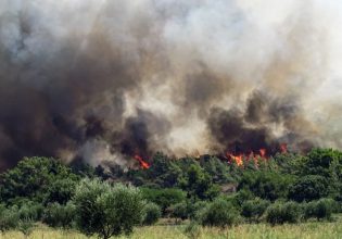 Τι ζημιές κατάγραψε ο ΕΛΓΑ σε Ρόδο και Θεσσαλία από τις φωτιές – Πότε θα πληρωθούν οι αποζημιώσεις