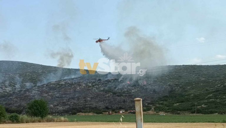 Φωτιά στο Ακόντιο Βοιωτίας – Στη μάχη της κατάσβεσης και εναέρια μέσα