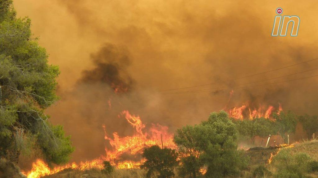 Μεσσηνία: Απίστευτη ομολογία από τον 30χρονο εμπρηστή – «Με εξιτάρουν τα εναέρια μέσα»