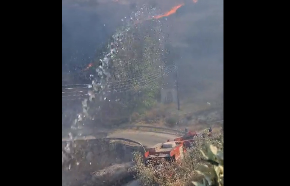 Οριοθετήθηκε η φωτιά στο Σέσκλο Μαγνησίας – Κινδύνευσαν σπίτια