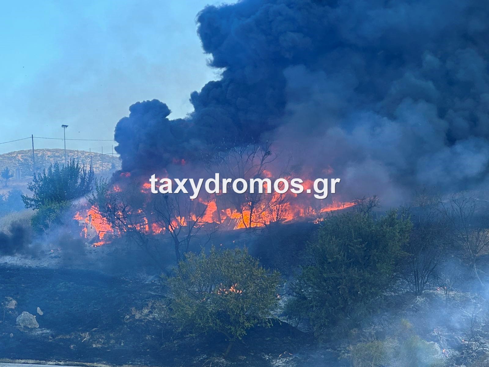 Συναγερμός στη Μαγνησία: Φωτιά στο Σέσκλο απειλεί τα πρώτα σπίτια – Με τα λάστιχα οι κάτοικοι