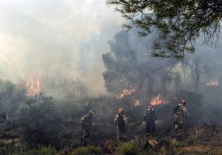 Κόκκινος συναγερμός σε έξι περιοχές για τις πυρκαγιές – Δείτε χάρτες