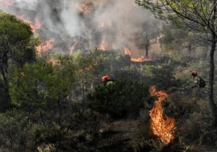 Συναγερμός για φωτιά στη Μυτιλήνη – Πνέουν ισχυροί άνεμοι στην περιοχή