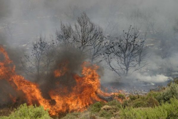 Πυρκαγιές: Ο χάρτης κινδύνου για την Τετάρτη - Σε ποιες περιοχές στρέφεται η προσοχή
