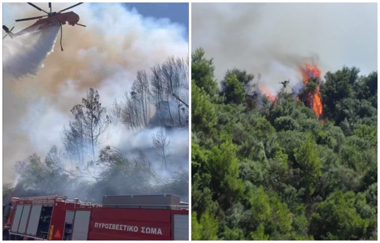 Φωτιά στην Ηλεία: Υπό ελέγχο το πολλαπλό πύρινο μέτωπο στην Ηλεία – Υπόνοιες για εμπρησμό- Προσαγωγή υπόπτου