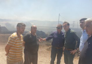 Στα καμένα της Μαγνησίας κλιμάκιο του ΠΑΣΟΚ – «Μεγάλη και διπλή η καταστροφή»