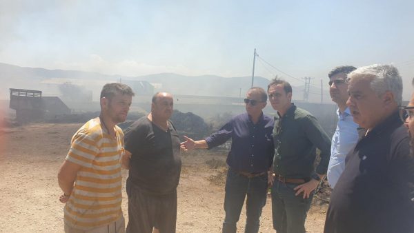 Στα καμένα της Μαγνησίας κλιμάκιο του ΠΑΣΟΚ – «Μεγάλη και διπλή η καταστροφή»