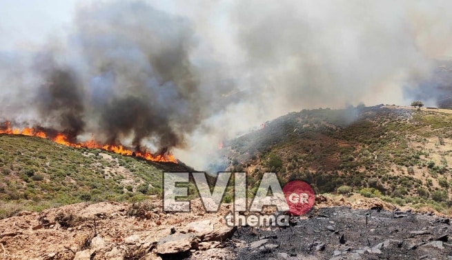 Φωτιά στην Κάρυστο: Εκκενώνεται το χωριό Άγιοι - Νέο μήνυμα του 112