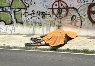 Νεκρό άλογο στην Κέρκυρα: Δεύτερη νεκροψία ζητούν οι φιλόζωοι – «Η καταπόνηση στον ήλιο το έστειλε στο θάνατό»