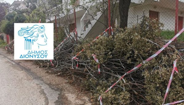 Απαγόρευση εναπόθεσης κηπαίων και κλαδιών στους δρόμους του Διονύσου