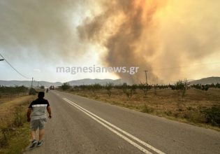 Φωτιά στη Μαγνησία: Αναφορές ότι αγνοείται 45χρονος βοσκός στον Άγιο Γεώργιο