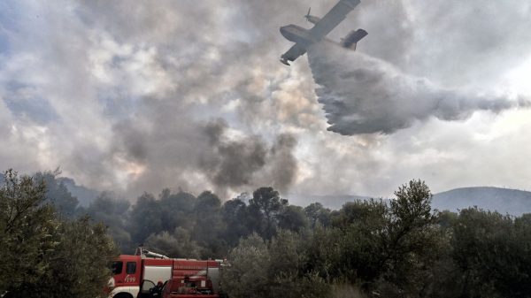 Φωτιές στoν Τύρναβο Λάρισας και τη Λακωνία - Επιχειρούν ισχυρές δυνάμεις της Πυροσβεστικής