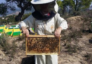 Λευτέρης Αυγενάκης: «Γνωρίζω τα προβλήματα των μελισσοκόμων»  