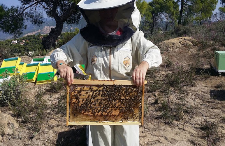 Λευτέρης Αυγενάκης: «Γνωρίζω τα προβλήματα των μελισσοκόμων»  