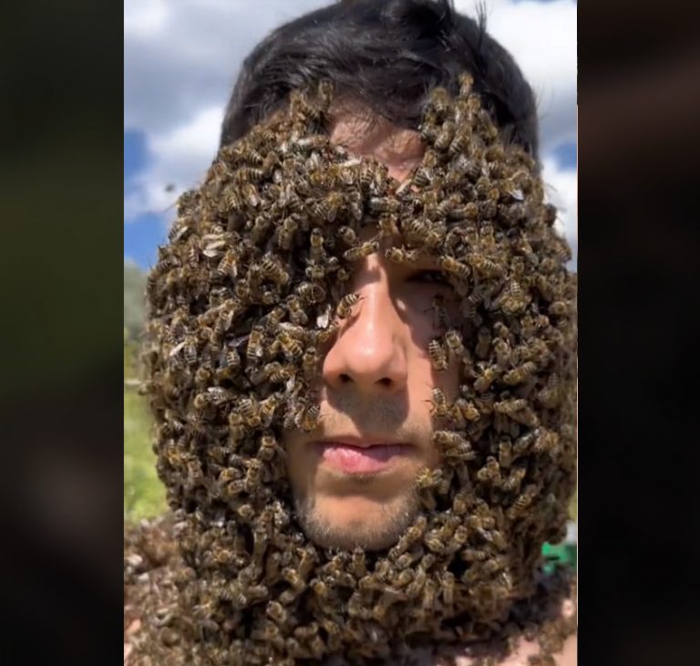 Αγρίνιο: Viral στο TikTok μελισσοκόμος που αφήνει χιλιάδες μέλισσες να κάτσουν πάνω στο κορμί του