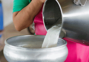 Αιγαίο: Πώς θα ενισχυθεί το γάλα για παραγωγή τυριών και γιαούρτης