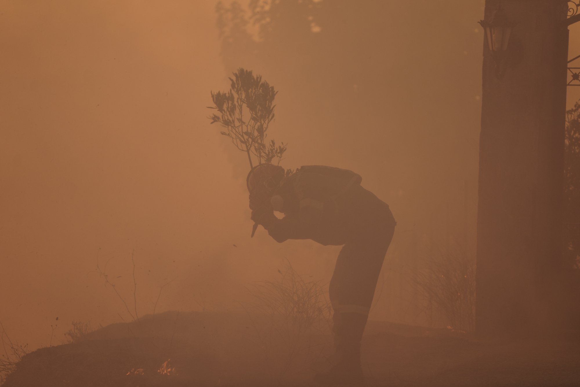 Κούραση, ανησυχία, λύσσα για νίκη στη ματιά της - Συγκλονιστική φωτογραφία πυροσβέστη