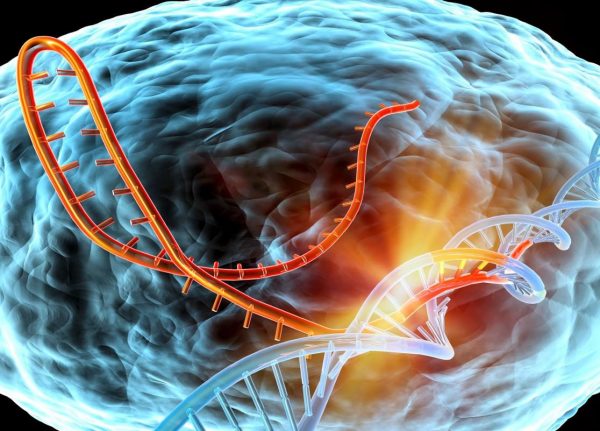 Μέσο ανίχνευσης του καρκίνου, το DNA των όγκων