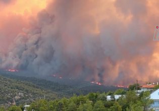 Μέτρα προστασίας από τη φωτιά από την Πνευμονολογική Εταιρεία