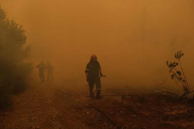 Λέκκας: Οι δασικές πυρκαγιές πυροδοτούν την κλιματική κρίση