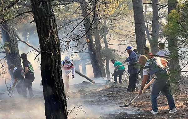 Φωτιά στην Ρόδο: Νέο μήνυμα από το 112 για εκκενώσεις χωριών στην Ρόδο – Εκκληση να σπεύσουν πλοία στην παραλία Λάρδου