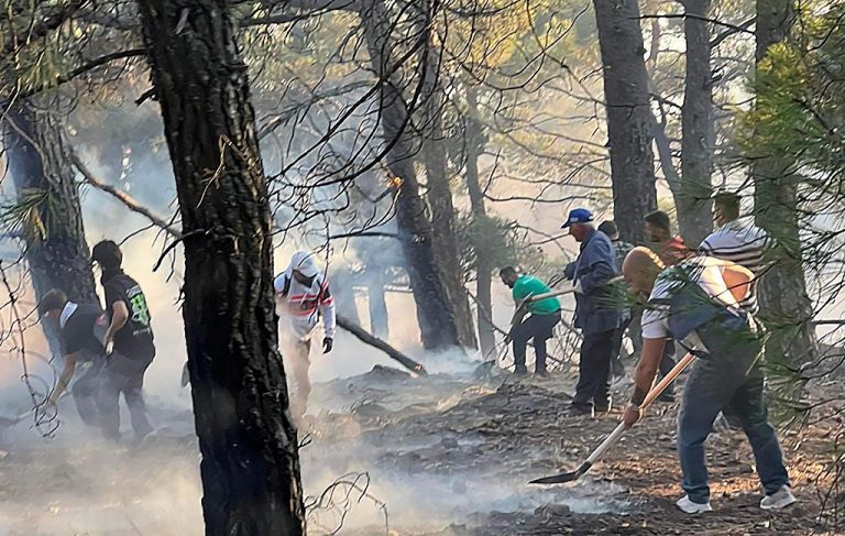 Φωτιά στην Ρόδο: Νέο μήνυμα από το 112 για εκκενώσεις χωριών στην Ρόδο – Εκκληση να σπεύσουν πλοία στην παραλία Λάρδου