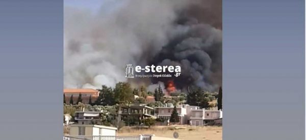 Φωτιά στη Θήβα – Καίει κοντά σε σπίτια