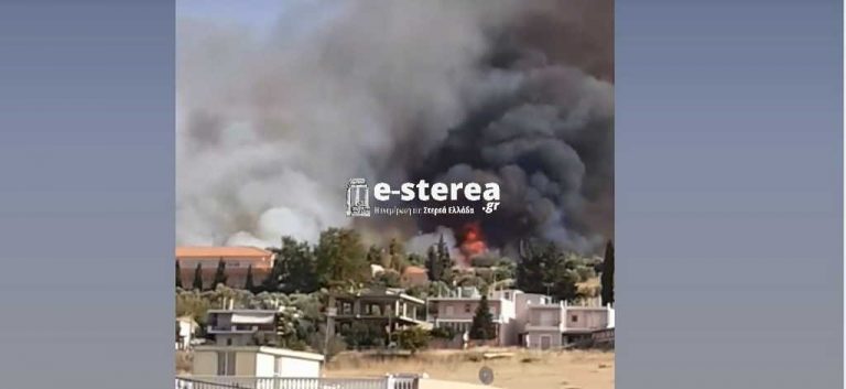 Φωτιά στη Θήβα – Καίει κοντά σε σπίτια