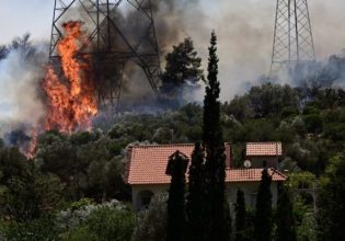 Φωτιά στον Κουβαρά: Έκκληση για τα ζώα – «Μην τα εγκαταλείπετε, κάθε ζωή έχει αξία»
