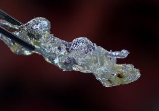 Καρκίνος: Πως «αόρατα» ποντίκια μπορούν να βελτιώσουν θεαματικά τις έρευνες