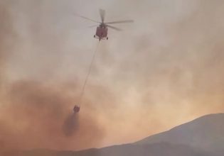 Φωτιά στην Ρόδο: Καίει εκτός ελέγχου δασική έκταση