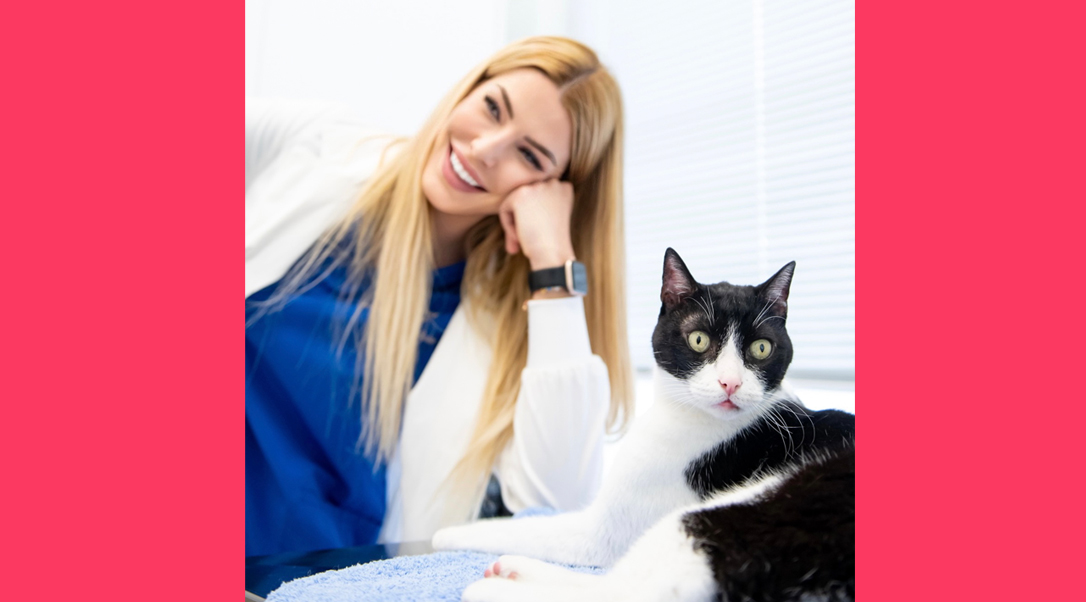 Παθήσεις ουροποιητικού συστήματος στις γάτες και αντιμετώπιση