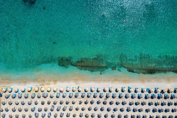 Καύσωνας: Κύμα ζέστης στα νερά της Μεσογείου απειλεί τα οικοσυστήματα