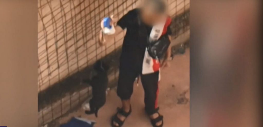 Κακοποίηση ζώου: Ανήλικος μαστίγωσε και κρέμασε από τον λαιμό σκύλο