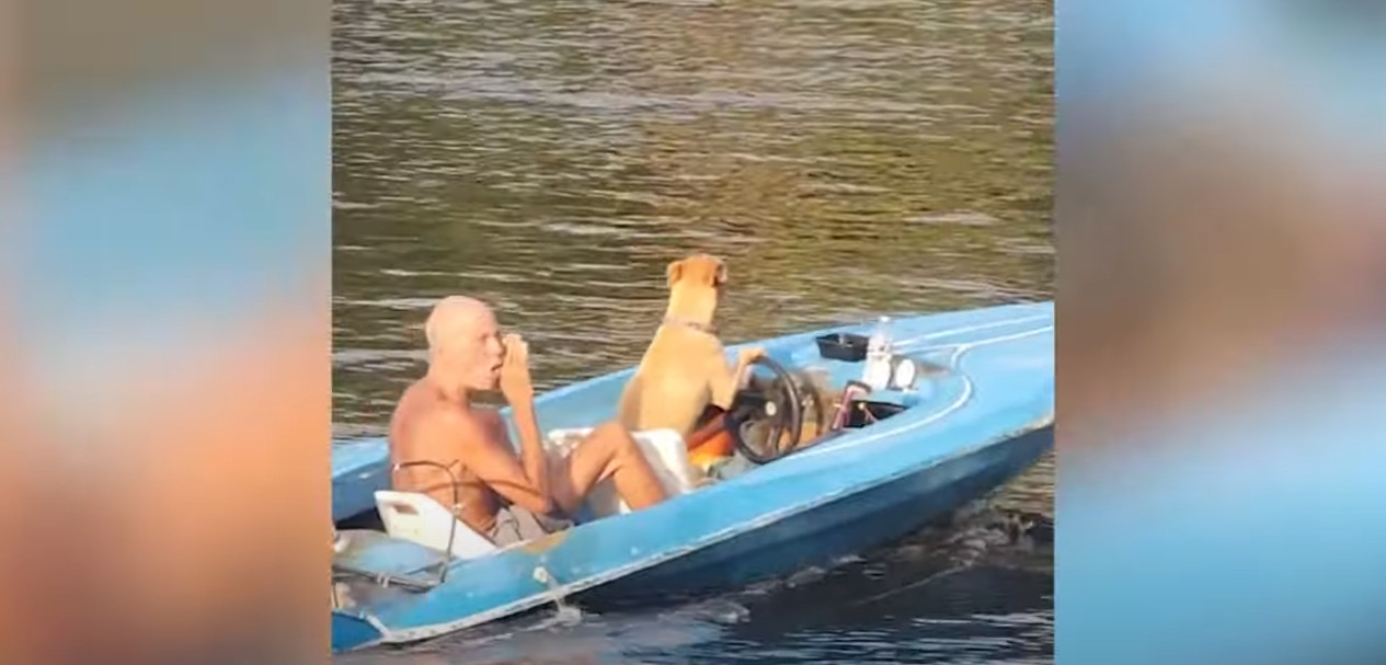 Φλόριντα: Σκύλος οδηγεί σκάφος και κάνει βόλτα τον ιδιοκτήτη του