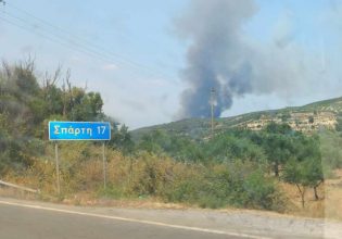 Μεγάλη φωτιά σε δασική έκταση στη Σπάρτη