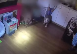 Λας Βέγκας: Γονείς κλείδωναν τα παιδιά τους σε κλουβιά – Βίντεο σοκ